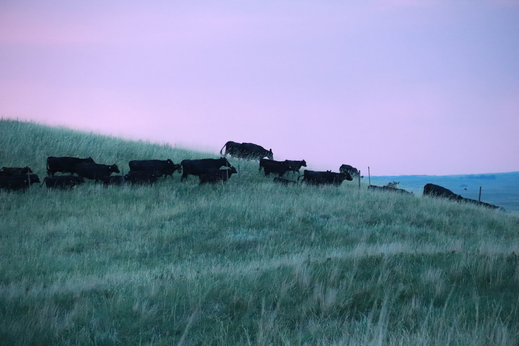 Sandhills
